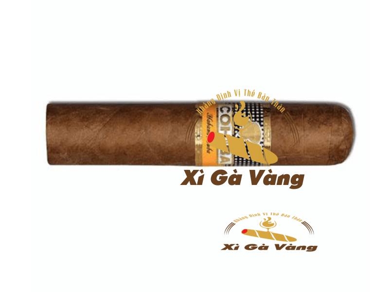 Cận cảnh những điếu Medio Siglo Cohiba